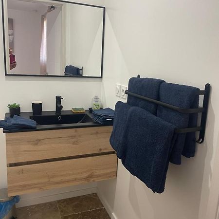 Bienvenue En Beaujolais Apartment Saint-Jean-d'Ardieres Luaran gambar