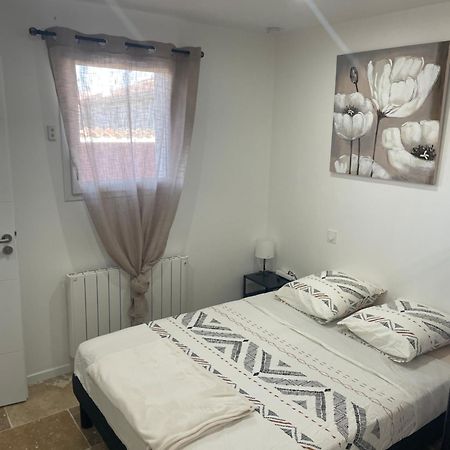 Bienvenue En Beaujolais Apartment Saint-Jean-d'Ardieres Luaran gambar