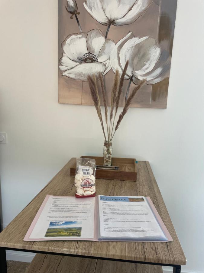 Bienvenue En Beaujolais Apartment Saint-Jean-d'Ardieres Luaran gambar