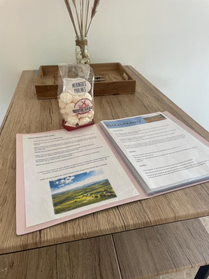 Bienvenue En Beaujolais Apartment Saint-Jean-d'Ardieres Luaran gambar