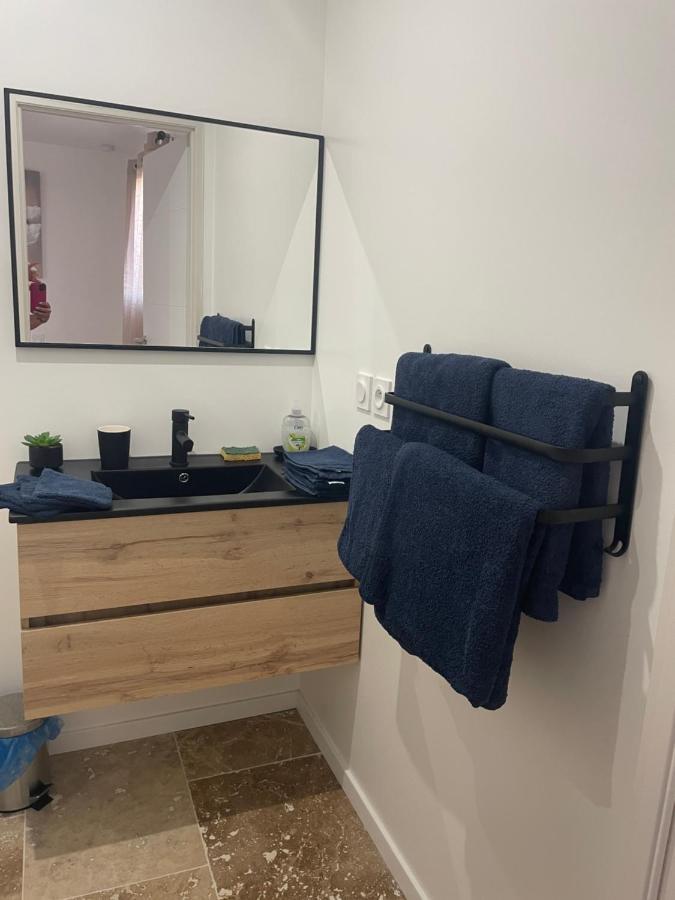 Bienvenue En Beaujolais Apartment Saint-Jean-d'Ardieres Luaran gambar